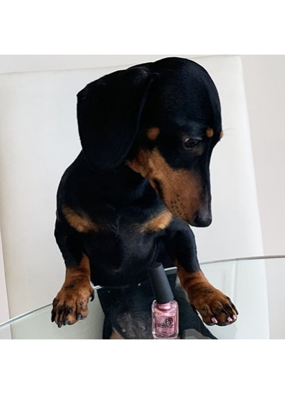 PAWS Colour For Canines Pet Nail Polish